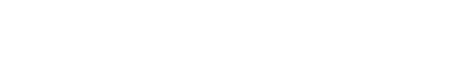 Momentum
